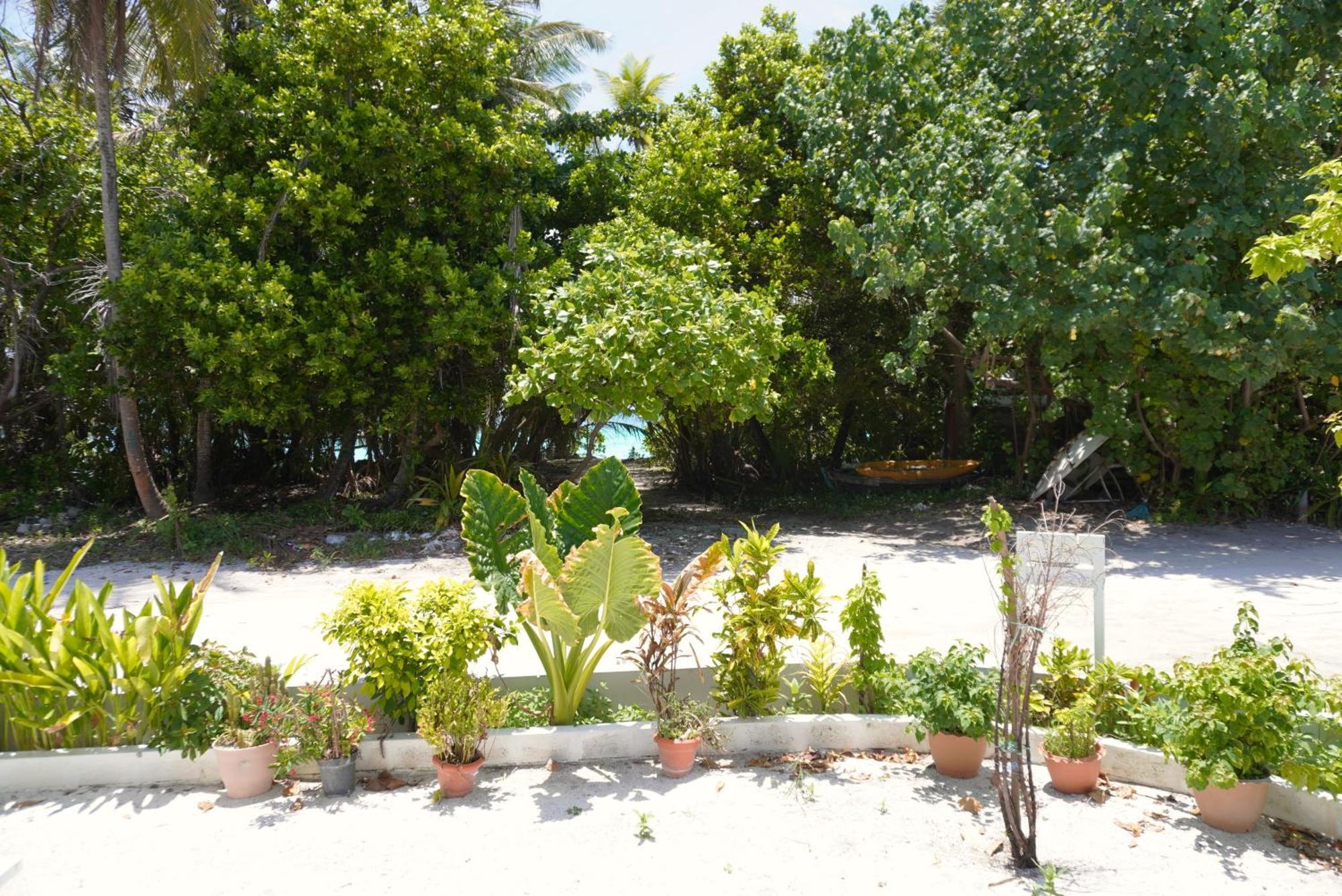 Tme Retreats Dhigurah Hotel Dhigurah  Exterior photo